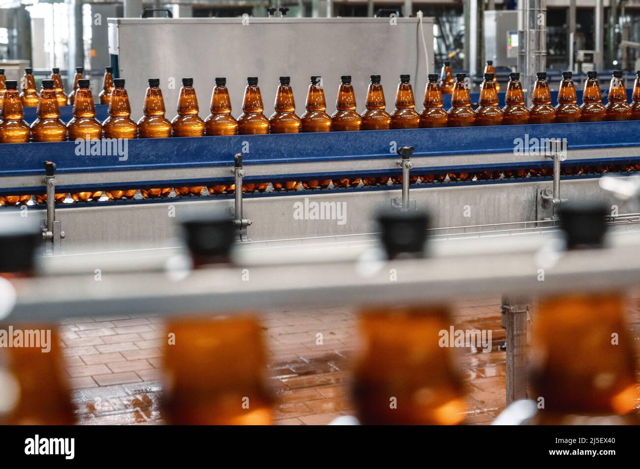 Plastic bottles with light filtered beer on the conveyor Stock Photo