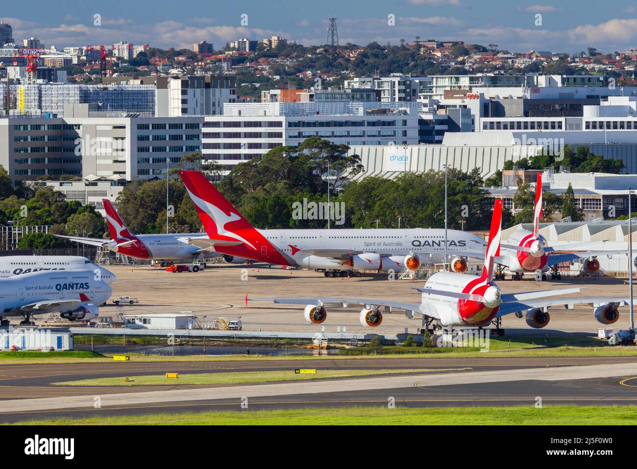 Qantas jets at Sydney (Kingsford Smith) Airport in Sydney, Australia