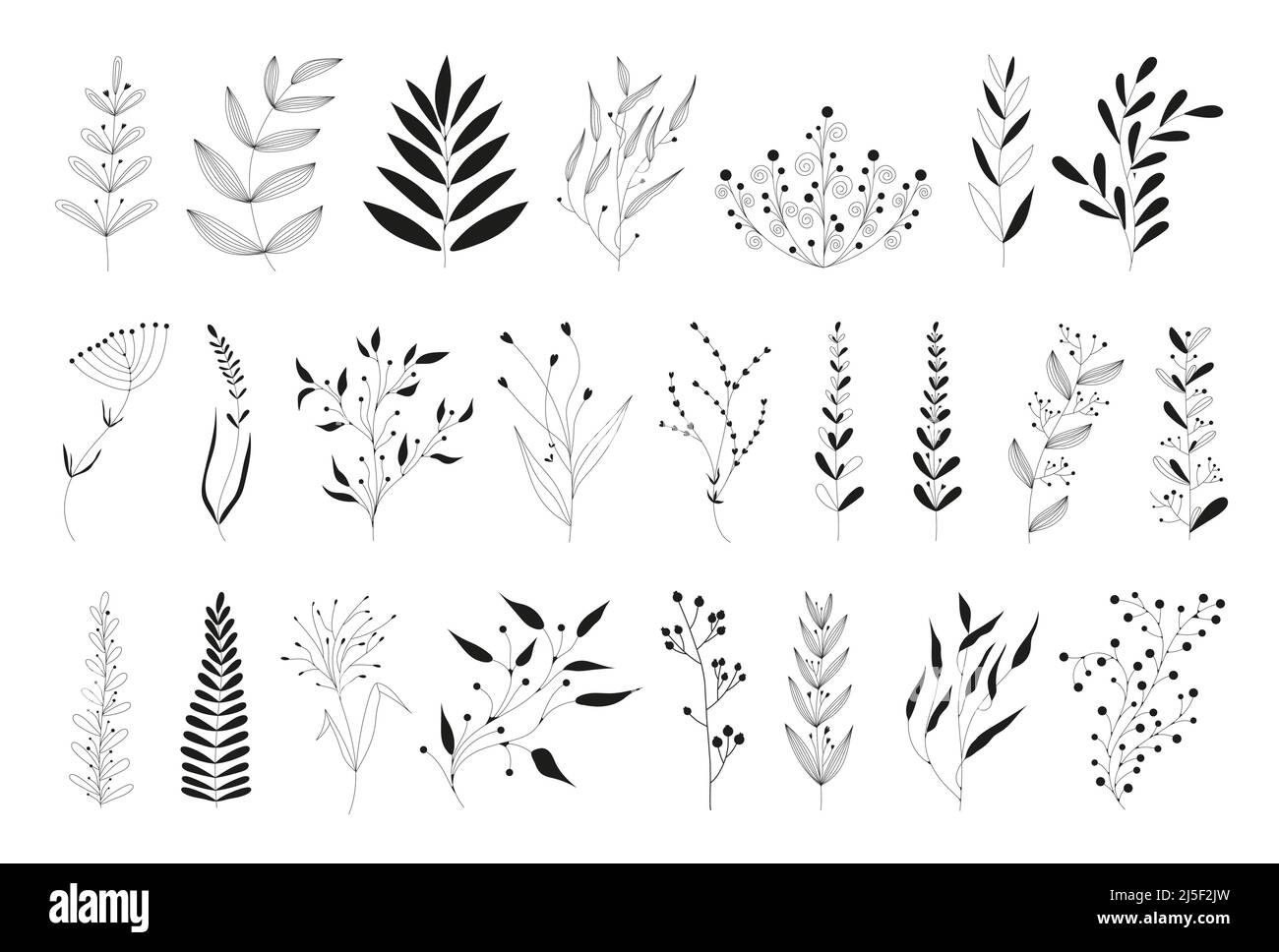 Leaves and twigs on an isolated white background Stock Vector Image ...