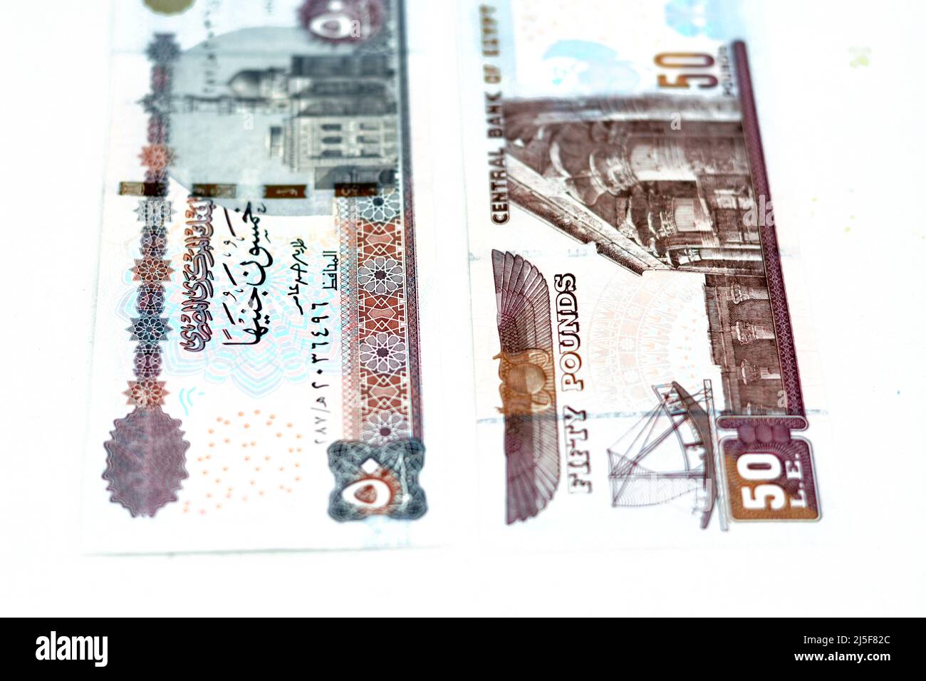 50 pound note 2020 hi-res stock photography and images - Alamy