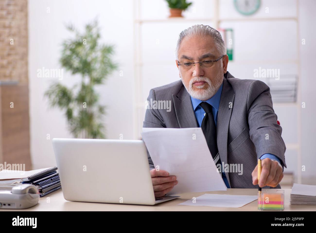 Old businessman employee working at workplace Stock Photo - Alamy
