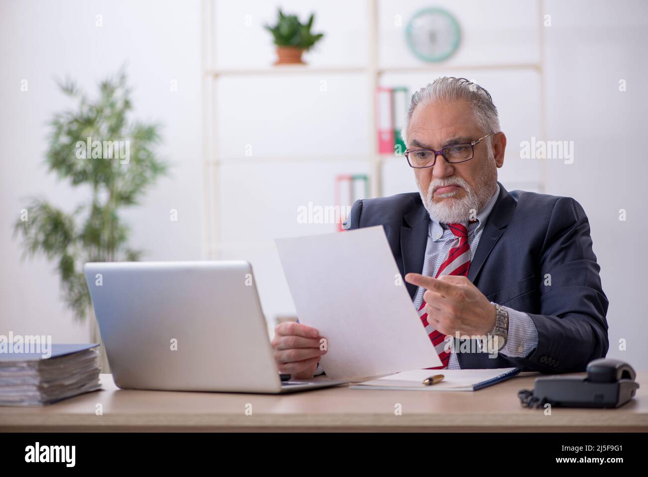 Old businessman employee working at workplace Stock Photo - Alamy