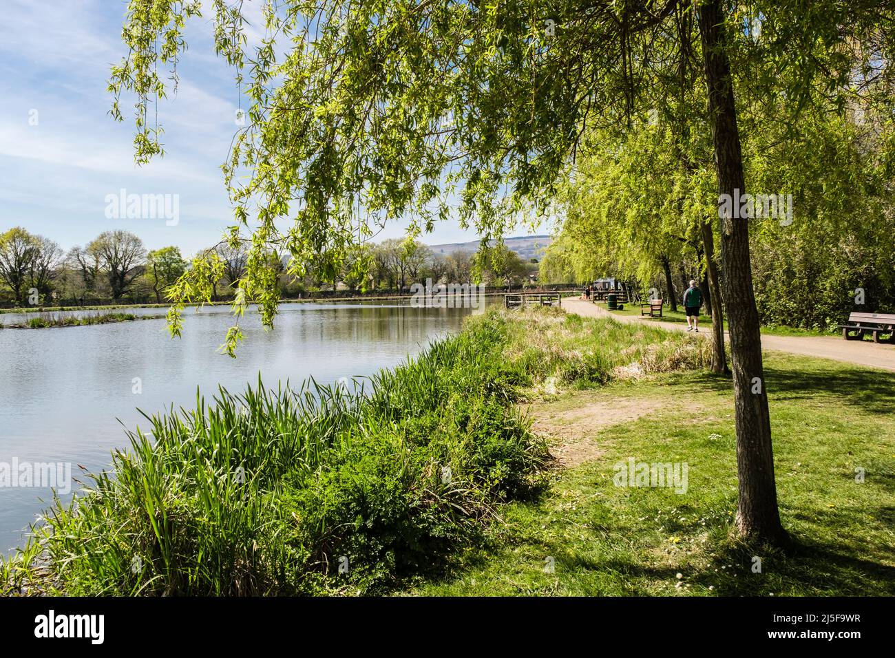 Path around tranquil water of Cwmbran Boating Lake, Cwmbran, Gwent, South Wales, UK, Britain Stock Photo