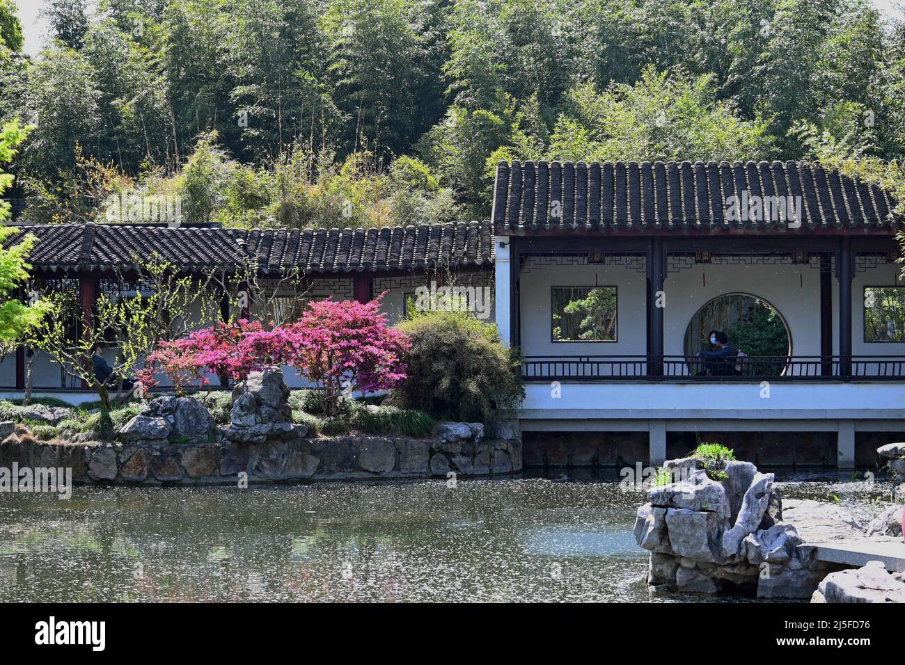 Explore the famous classical Chinese garden GuYi in Nanxiang, Shanghai Stock Photo
