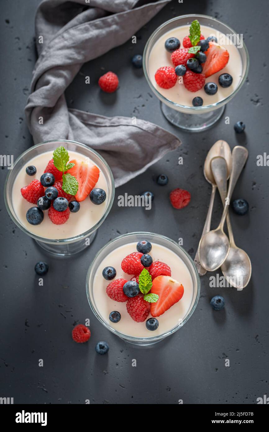 Sweet and vanilla Panna Cotta made of gelatin and cream. Panna Cotta made of milk, gelatin and