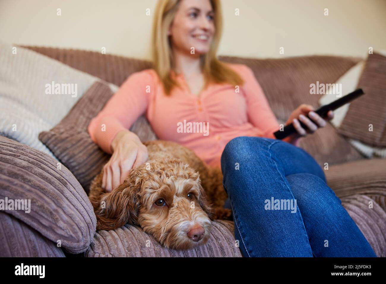Woman With Pet Cockapoo Dog Relaxing On Sofa Watching TV At Home Stock Photo