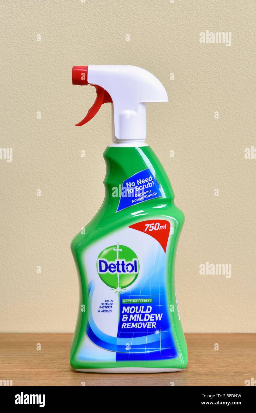 Dettol Mould Remover Cleaning Spray 750ml