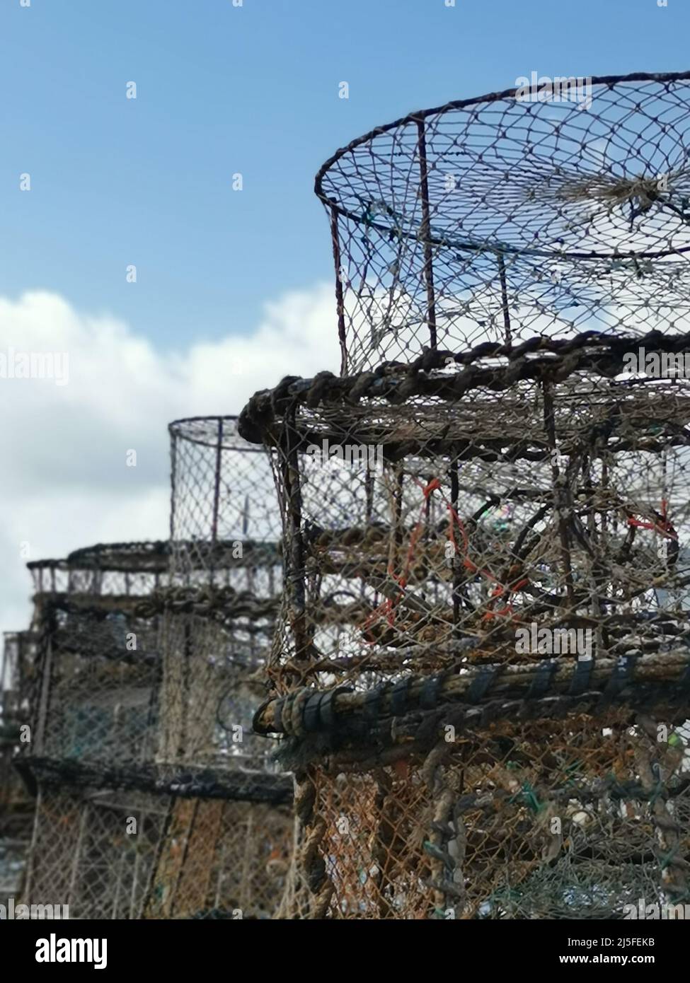 Vertical image of lobster pot fishing nets for use as background Stock