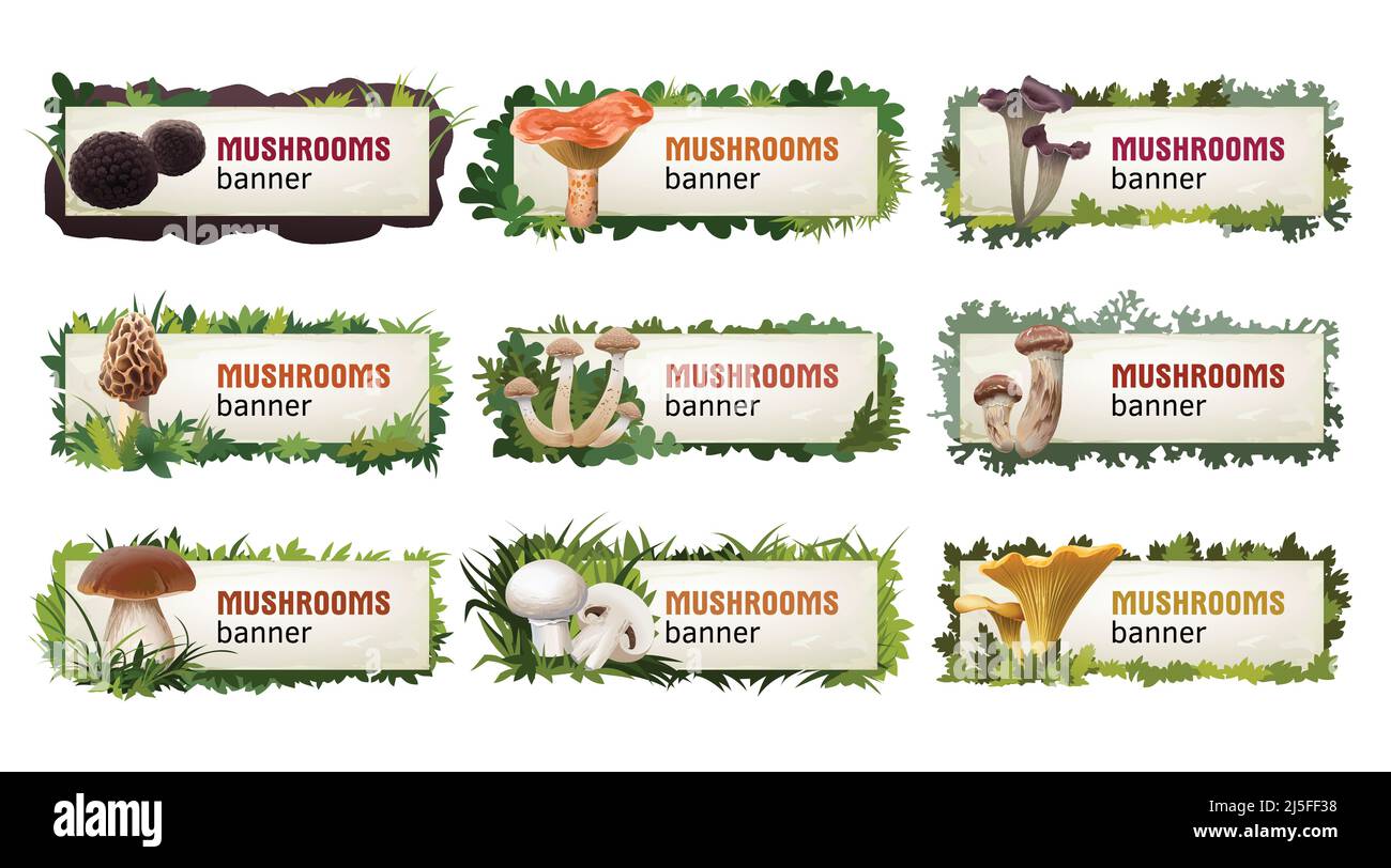 Set of delicious mushroom vector banners, headers. Stock Vector