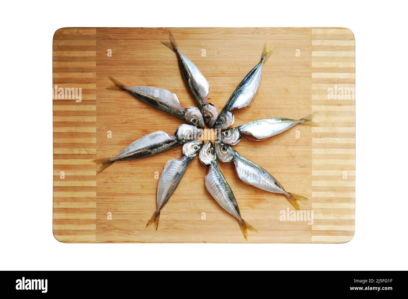 Cleaned and ready to cook fresh fish horse mackerel, istavrit fish, on cutting board Stock Photo