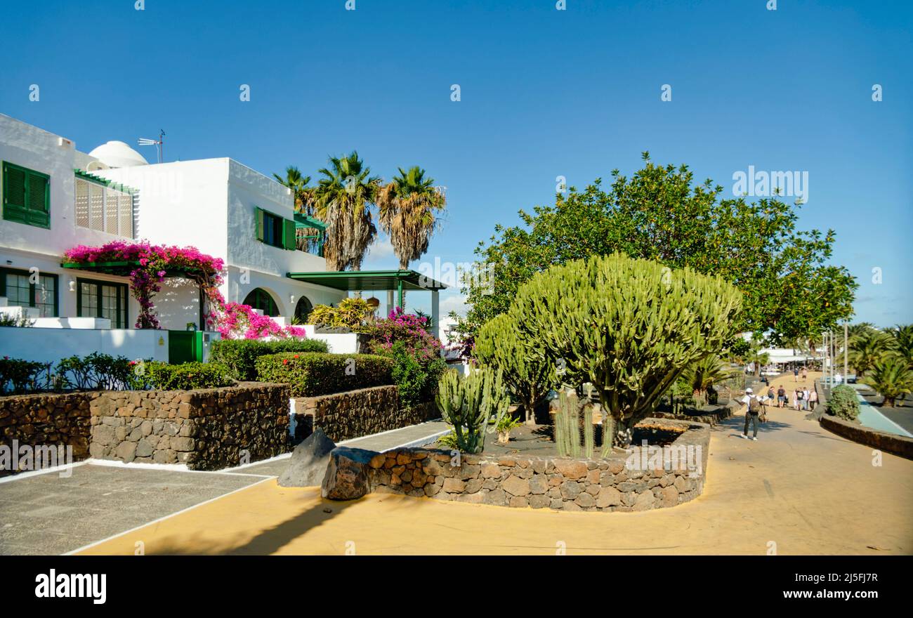 Costa Teguise, Promenade, Kakteen, Ferienhäuser, Lanzarote, Kanarische Inseln, Kanaren, Spanien Stock Photo