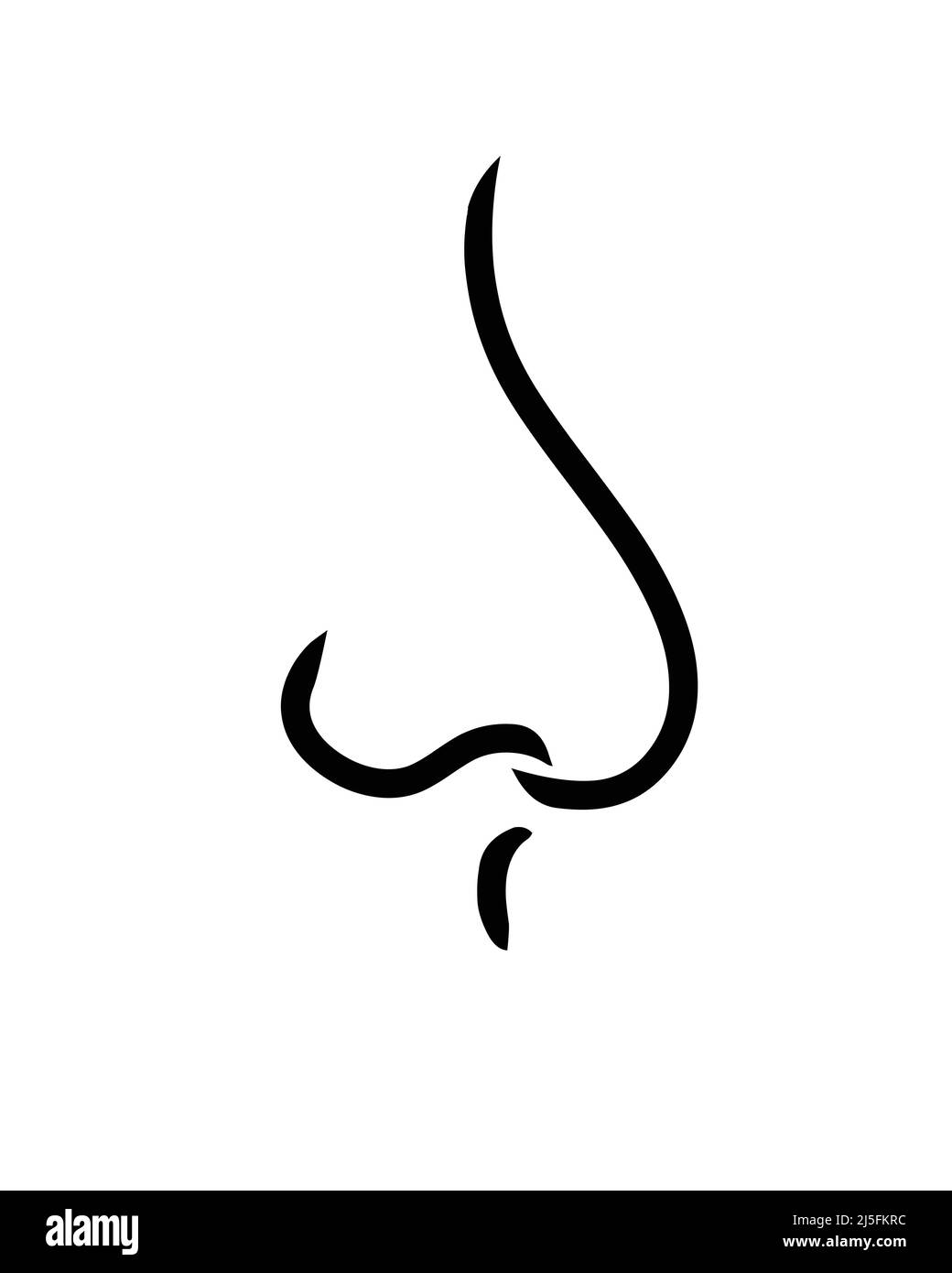 Human nose line icon vector isolated Stock Vector Image & Art Alamy