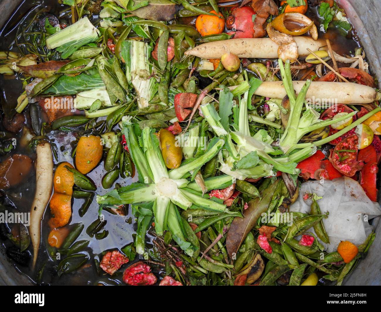 using-food-waste-as-fertilizer-at-roy-angelica-blog