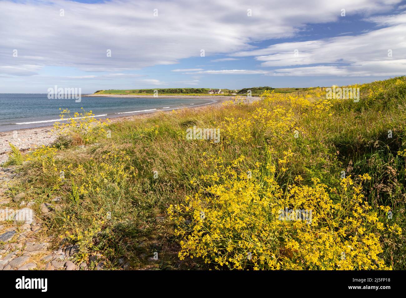 Dummore beach in Dumfries and Galloway, Scotland Stock Photo