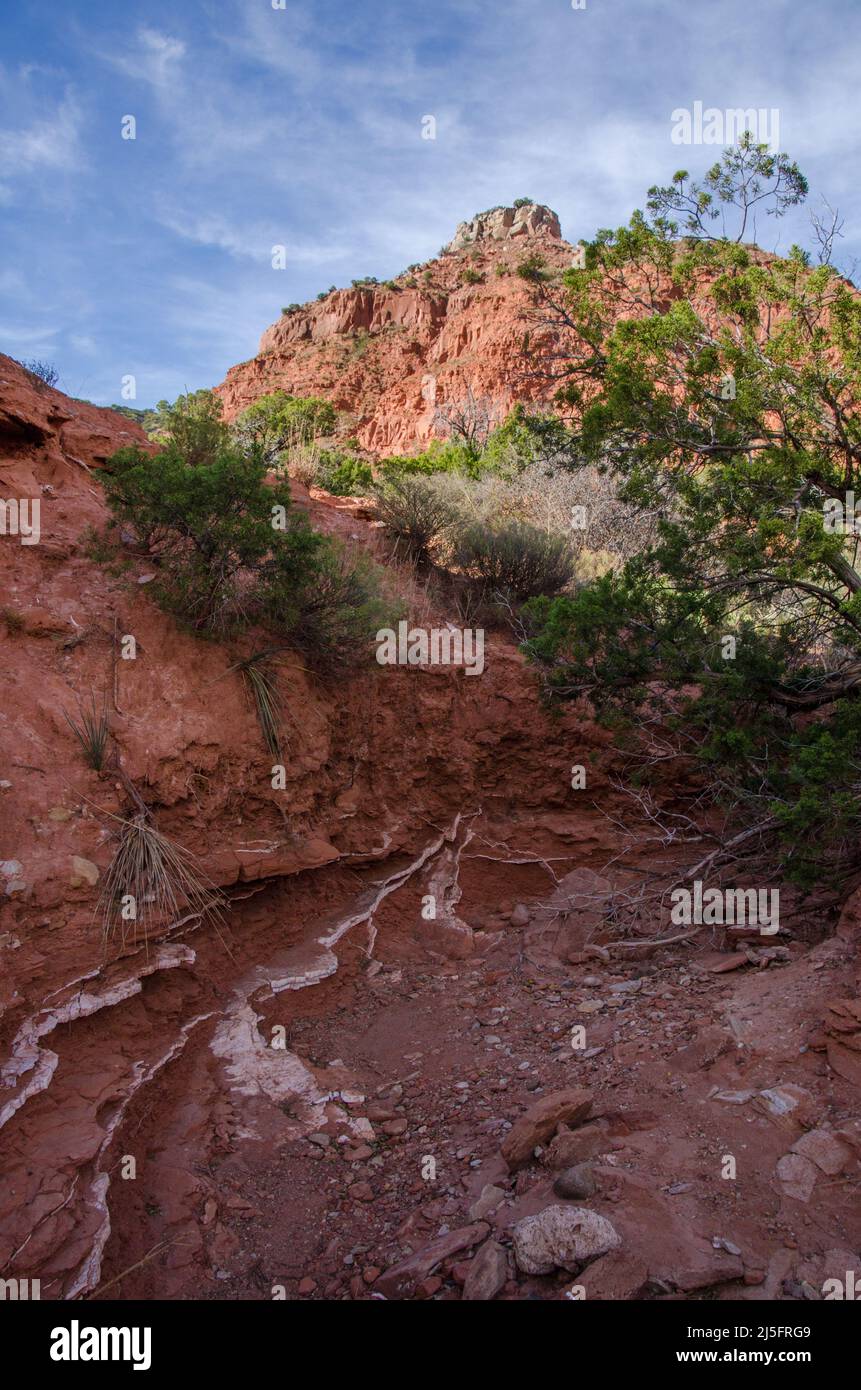 A layer of the mineral gypsum seen at Caprock Canyons State Park Stock ...