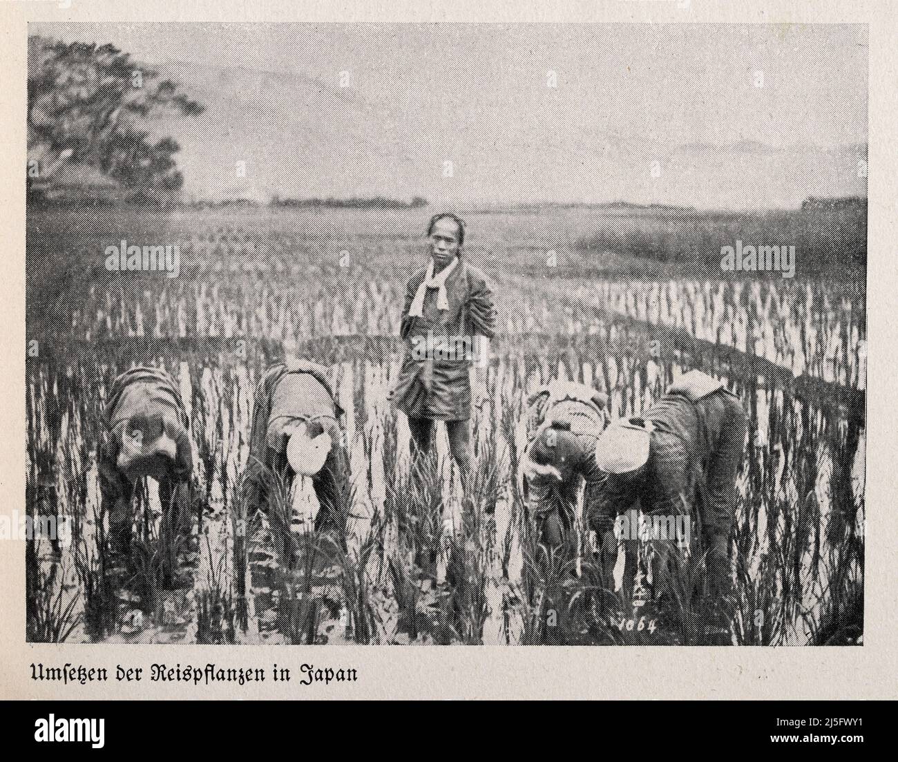 KunstFotografie　ビンテージ写真　1839年～1945年までの写真 Japan 1930s hi-res stock photography and images - Alamy