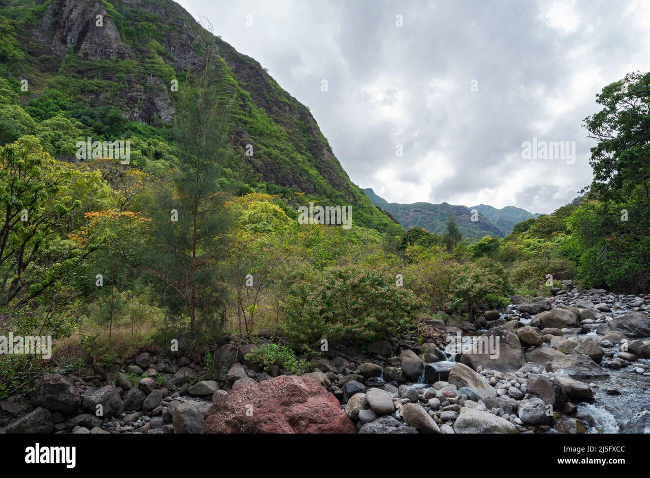 mountains and stream of iao valley state park in west hawaii Stock Photo