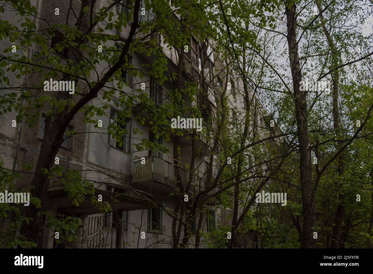 Houses in Chernobyl town in the Ukraine 2019 Stock Photo Alamy