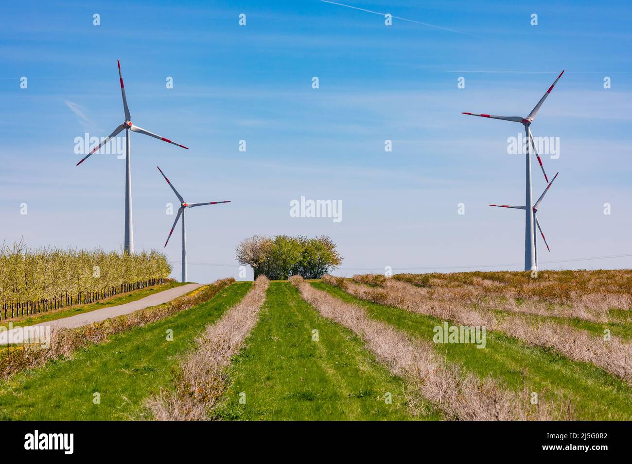 Wind turbines for renewable energy generation dominate a rural ...