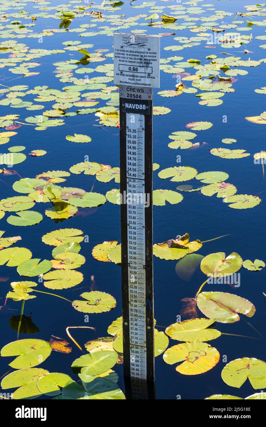 NAVD 88 water level gauge at Crews Lake Wilderness Park - Spring Hill, Florida, USA Stock Photo