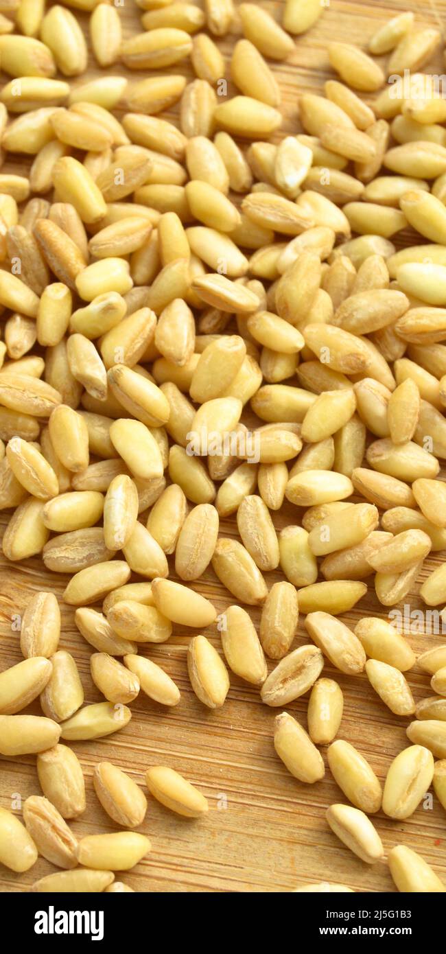 Many dry wheat grain on bamboo cutting board, foot background Stock Photo