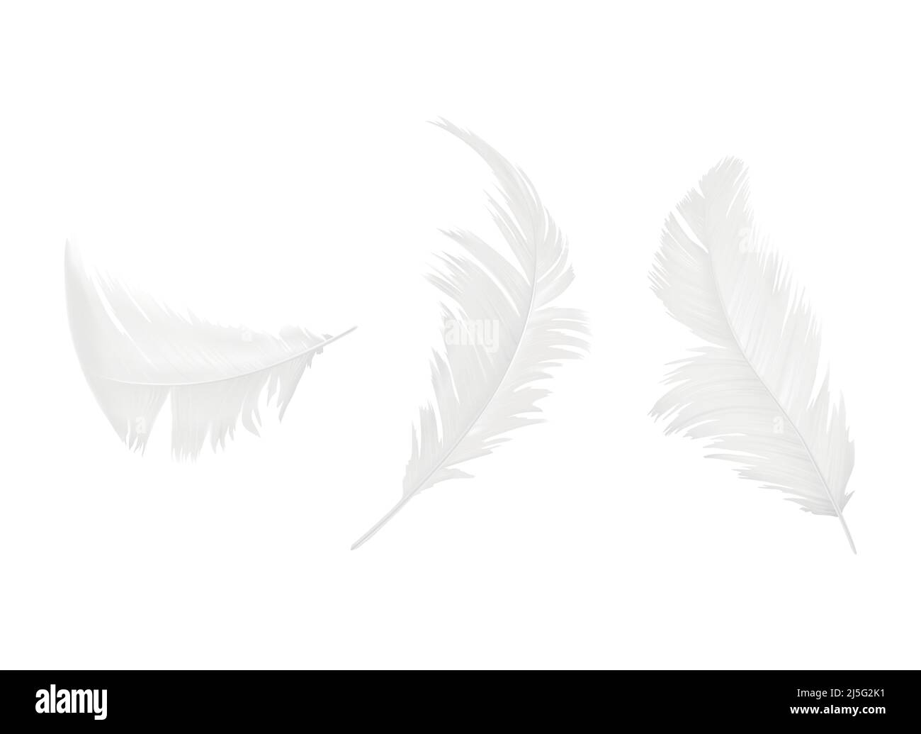 Vector realistic 3d set of white bird or angel feathers in various shapes, isolated on background. Symbol of lightness, innocence, heaven, literature Stock Vector