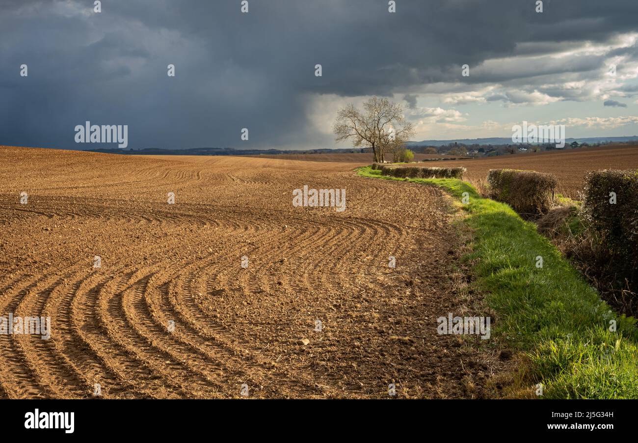 Dramatic sky with storm front over a sunlit ploughed field and hedge. Stock Photo