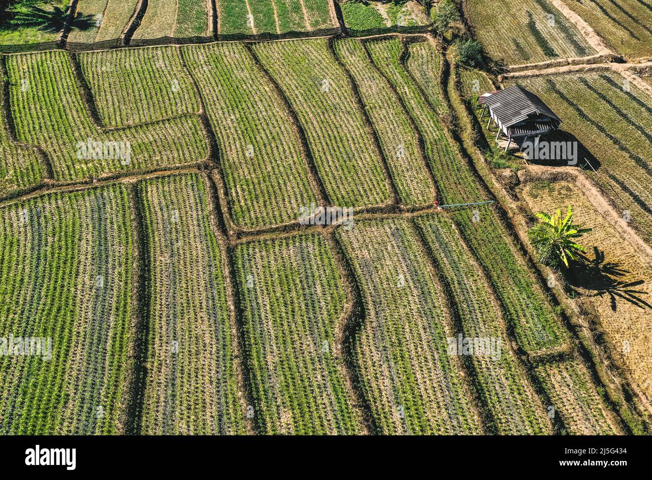Aerial view of Mae La Noi rice terraces in Mae Hong Son, Thailand Stock