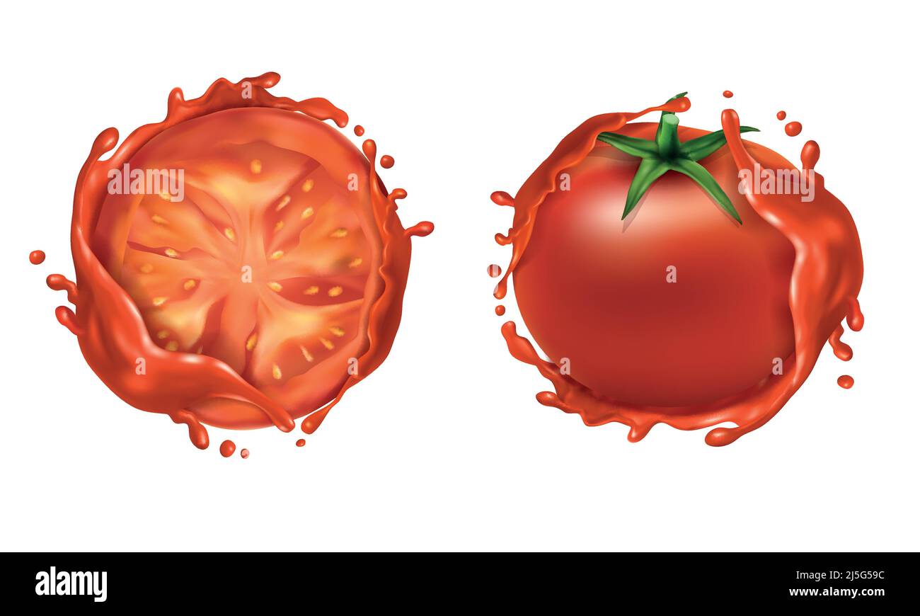 Vector realistic set of two red ripe tomatoes, whole fresh vegetable and half, with liquid splashes around them. Natural, organic food for healthy eat Stock Vector