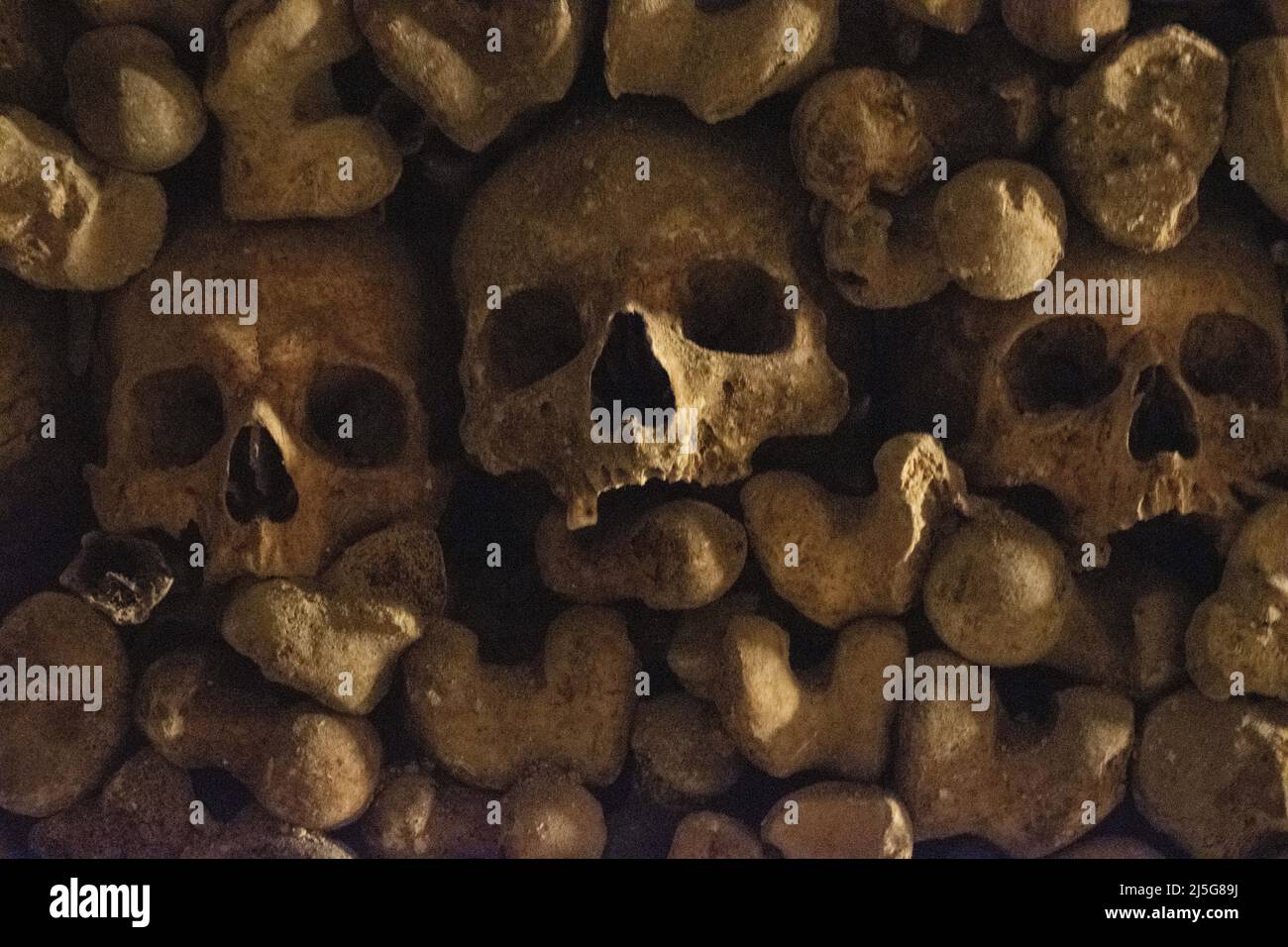 Paris: skulls and bones in the Catacombs of Paris, ossuary in an underground quarry 285 km long which hold the remains of more than 6 million people Stock Photo