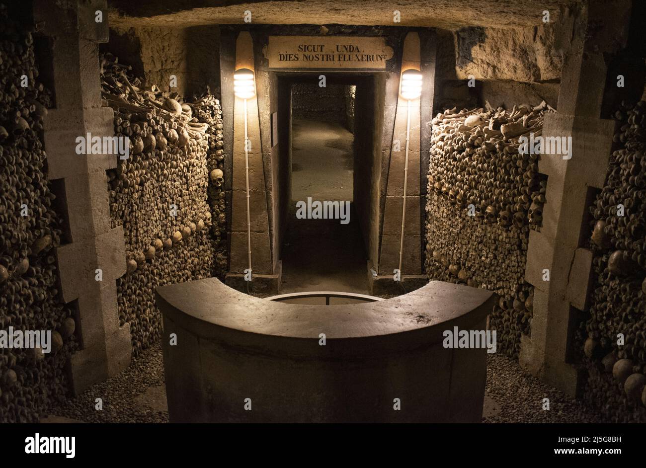 Paris skulls, bones and the latin inscription “Our days flowed like a