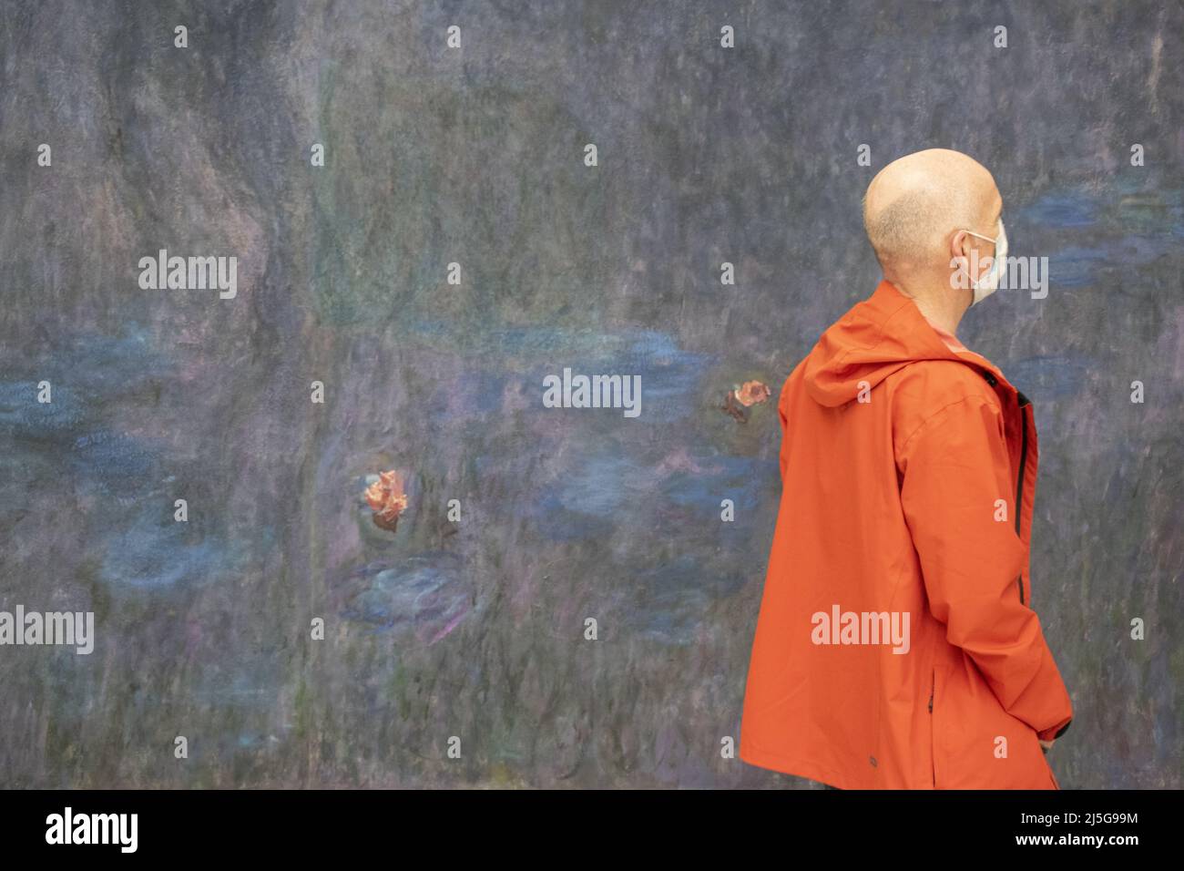 Paris, France, Europe: visitor in front the Nympheas (Water Lilies), famous series of decorative panels by Claude Monet at the Musee de l'Orangerie Stock Photo