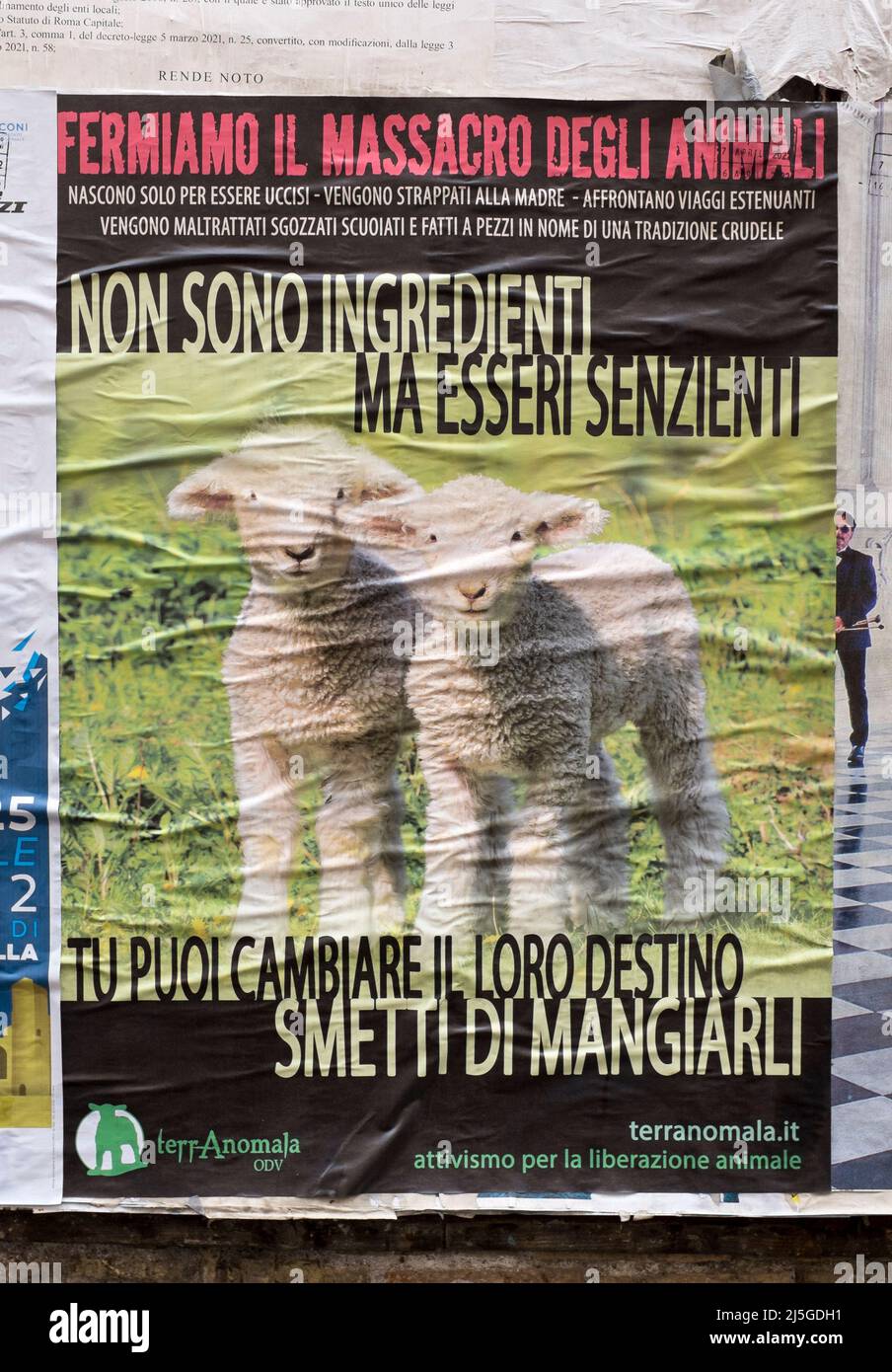 Animal welfare poster hi-res stock photography and images - Alamy Animal welfare poster hi-res stock photography and images - Alamy