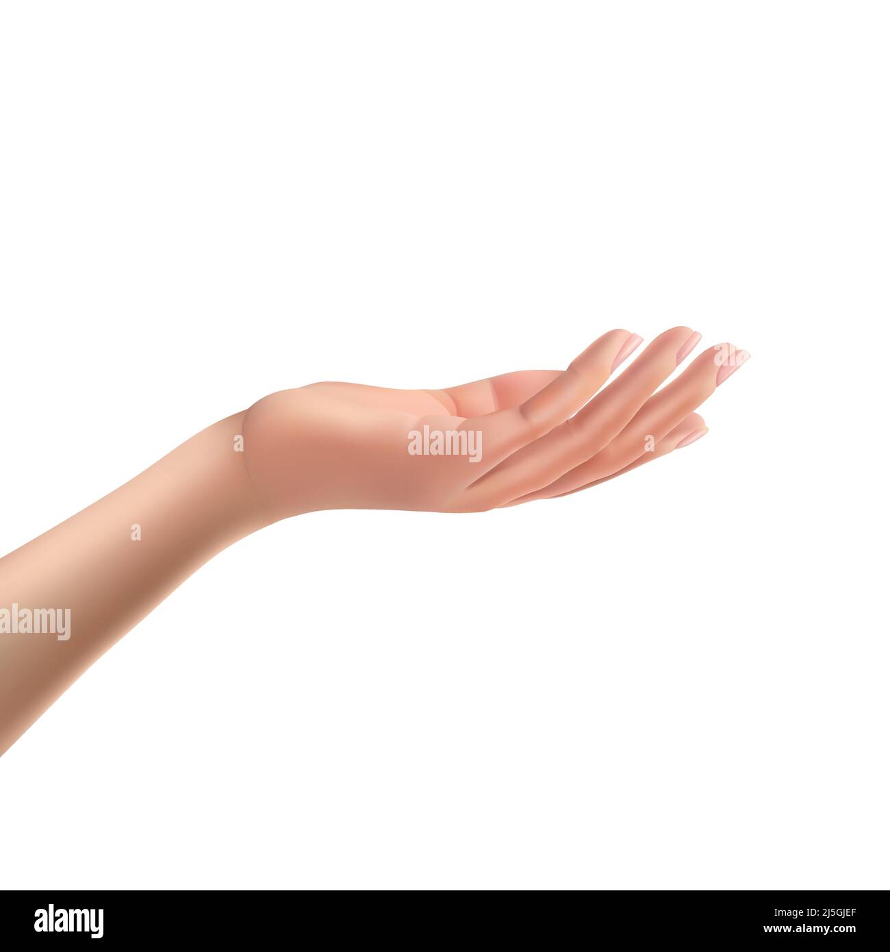 Facing up womans hand realistic vector illustration isolated on white background.  Female open palm up in getting or receiving something gesture, hold Stock Vector
