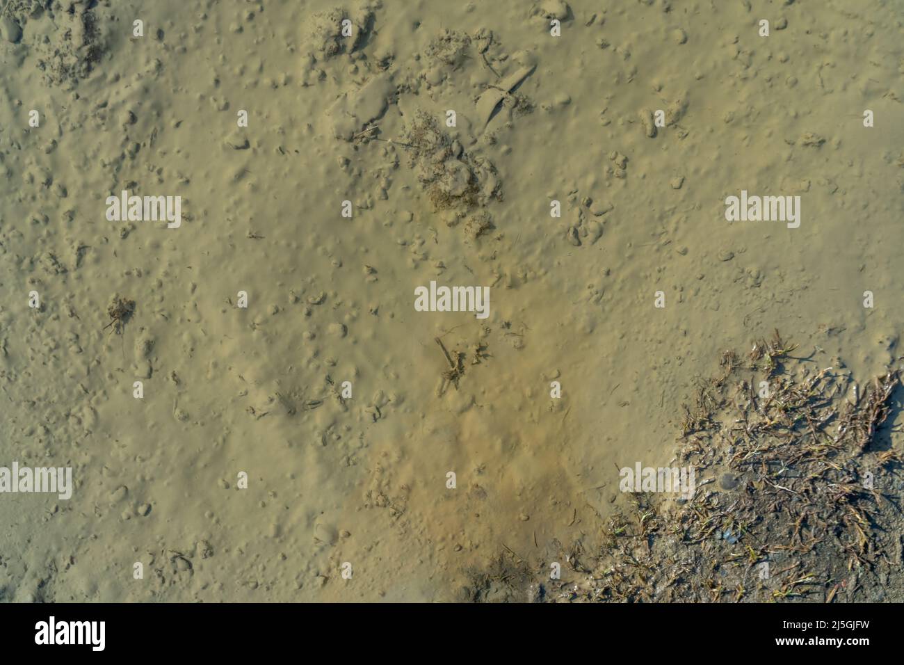 A bumpy wet gravel road after the rain, texture Stock Photo - Alamy