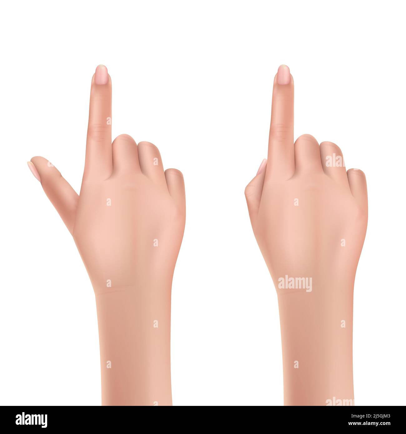 Vector illustration human hands in realistic style Stock Vector Image ...