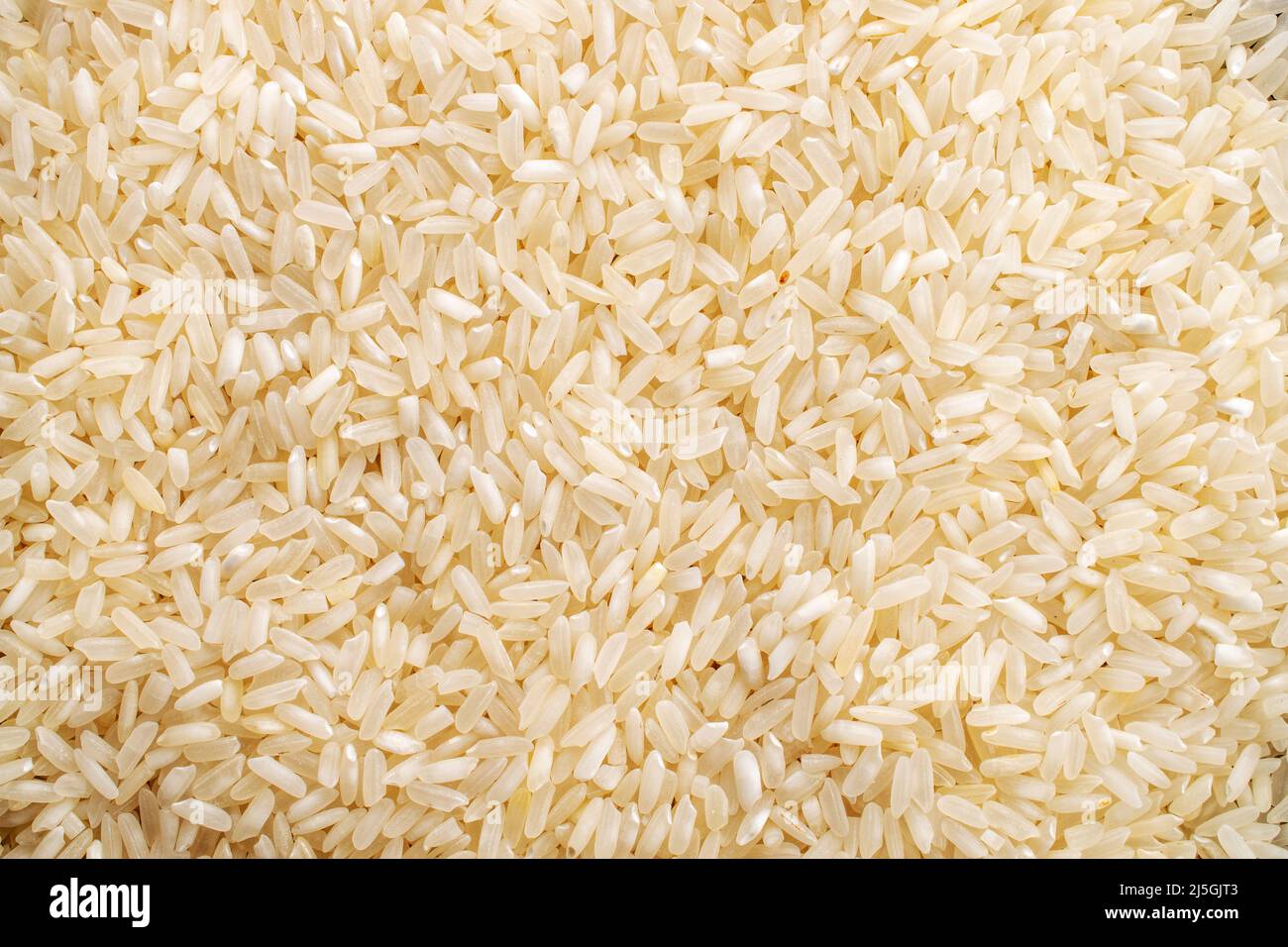 Rice close hi-res stock photography and images - Alamy