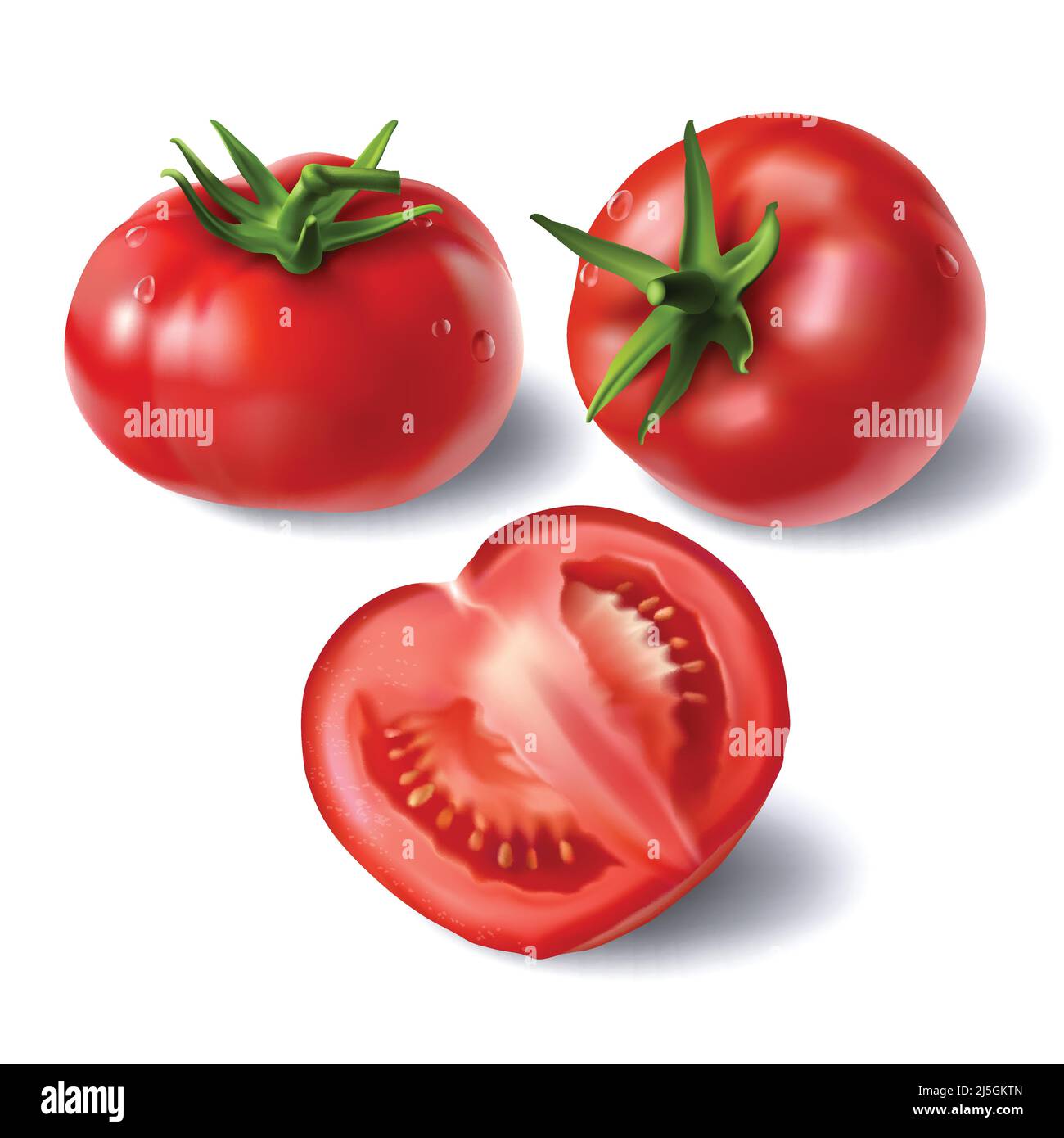 Full and sliced on half red tomatoes with stem rootlet and water droplets  realistic vector illustration set isolated on white background. Ripe, raw j Stock Vector