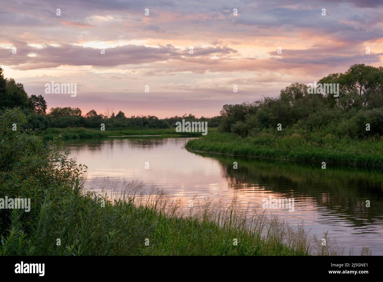 Banks of the berezina river hi-res stock photography and images - Alamy