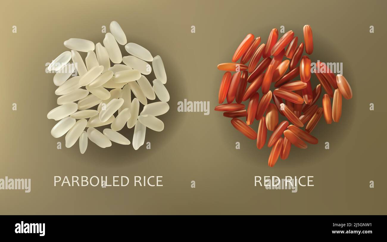 Two handfuls of white parboiled and red cargo rice, isolated on a brown background, realistic vector. Healthy diet, vegetarian food, design element Stock Vector