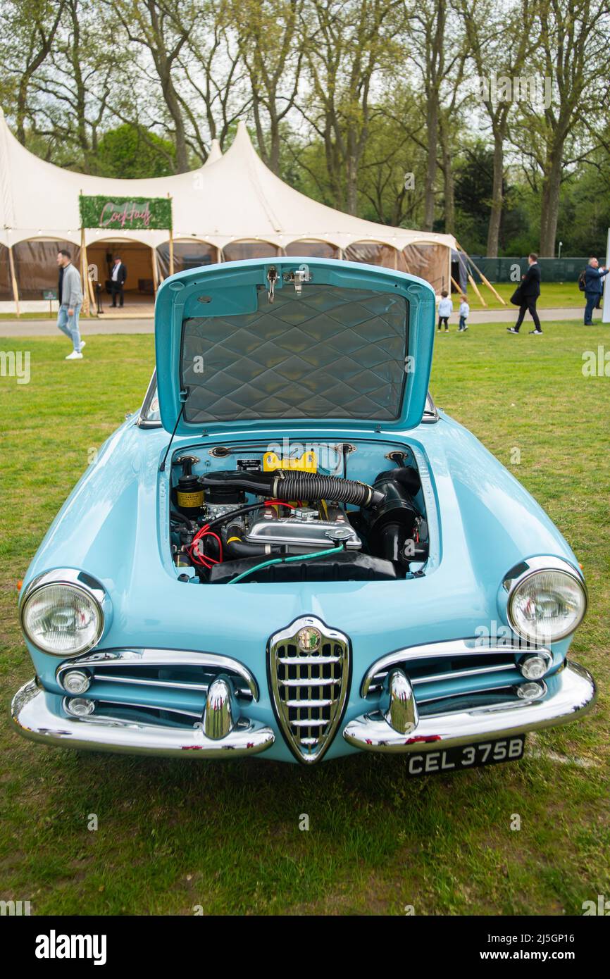 Chelsea car show in royal hospital hires stock photography and images