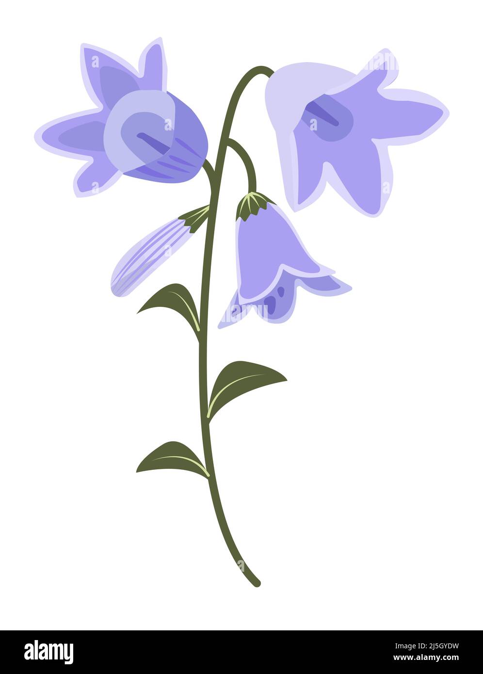 Bellflowers with leaves, blue-green illustration Stock Vector
