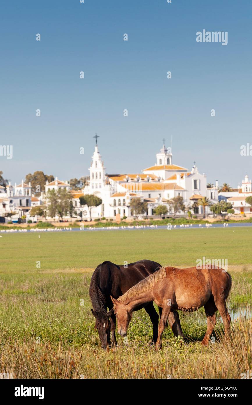 Sanctuary of Nuestra Señora del Rocío, El Rocío, Almonte, Huelva, Spain