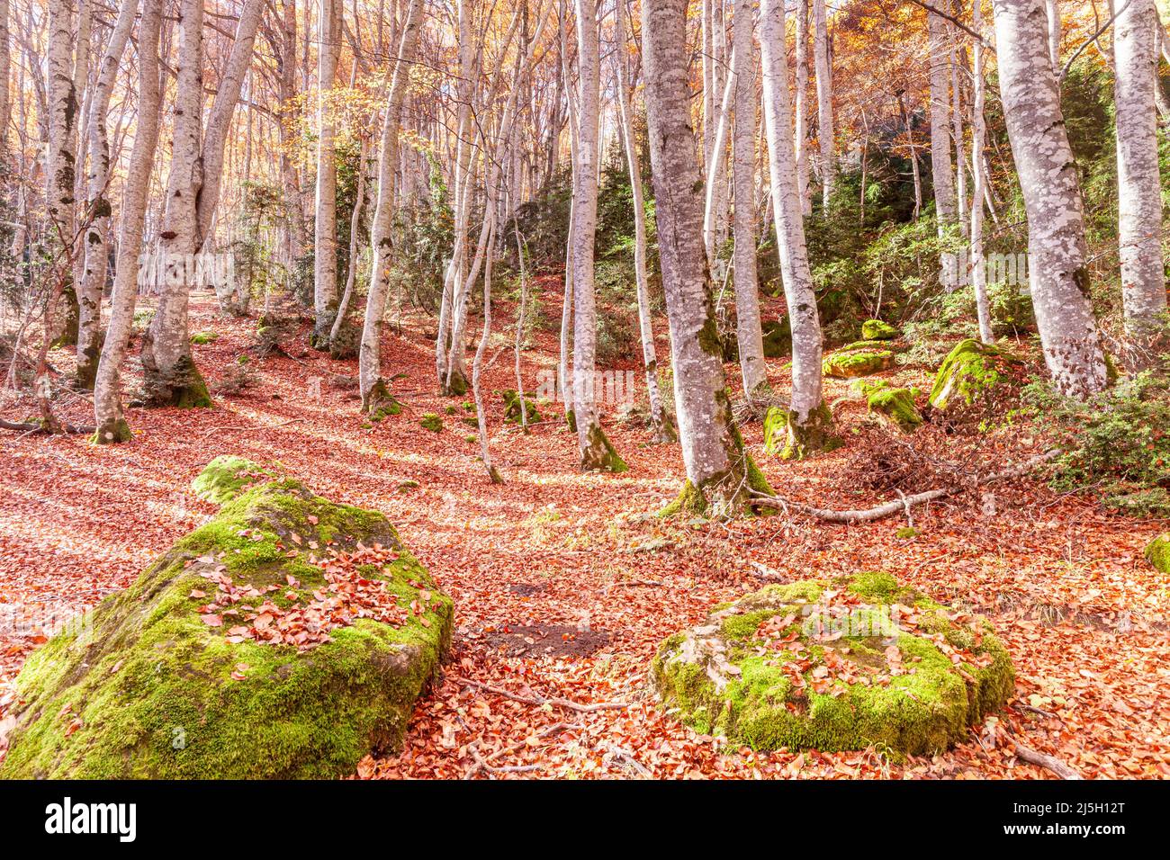 piedrafita-de-jaca-hi-res-stock-photography-and-images-alamy