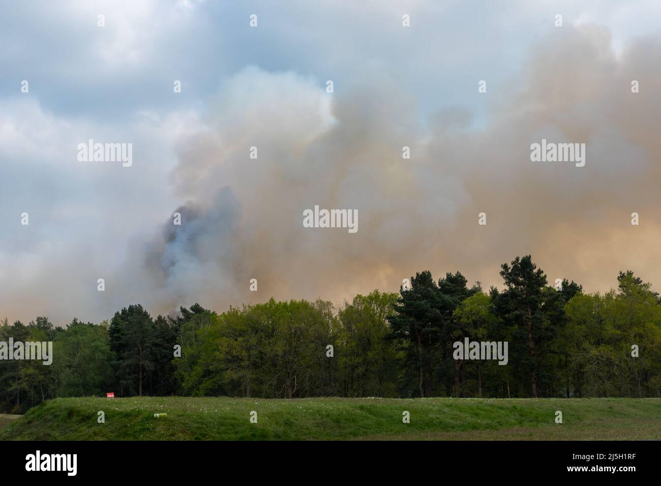 Ash Ranges, Surrey, England, UK. 23rd April 2022. A large heath fire has broken out on Ash Ranges, which a heathland nature reserve west of Pirbright in Surrey. It is owned by the Ministry of Defence and managed by the Surrey Wildlife Trust. Stock Photo