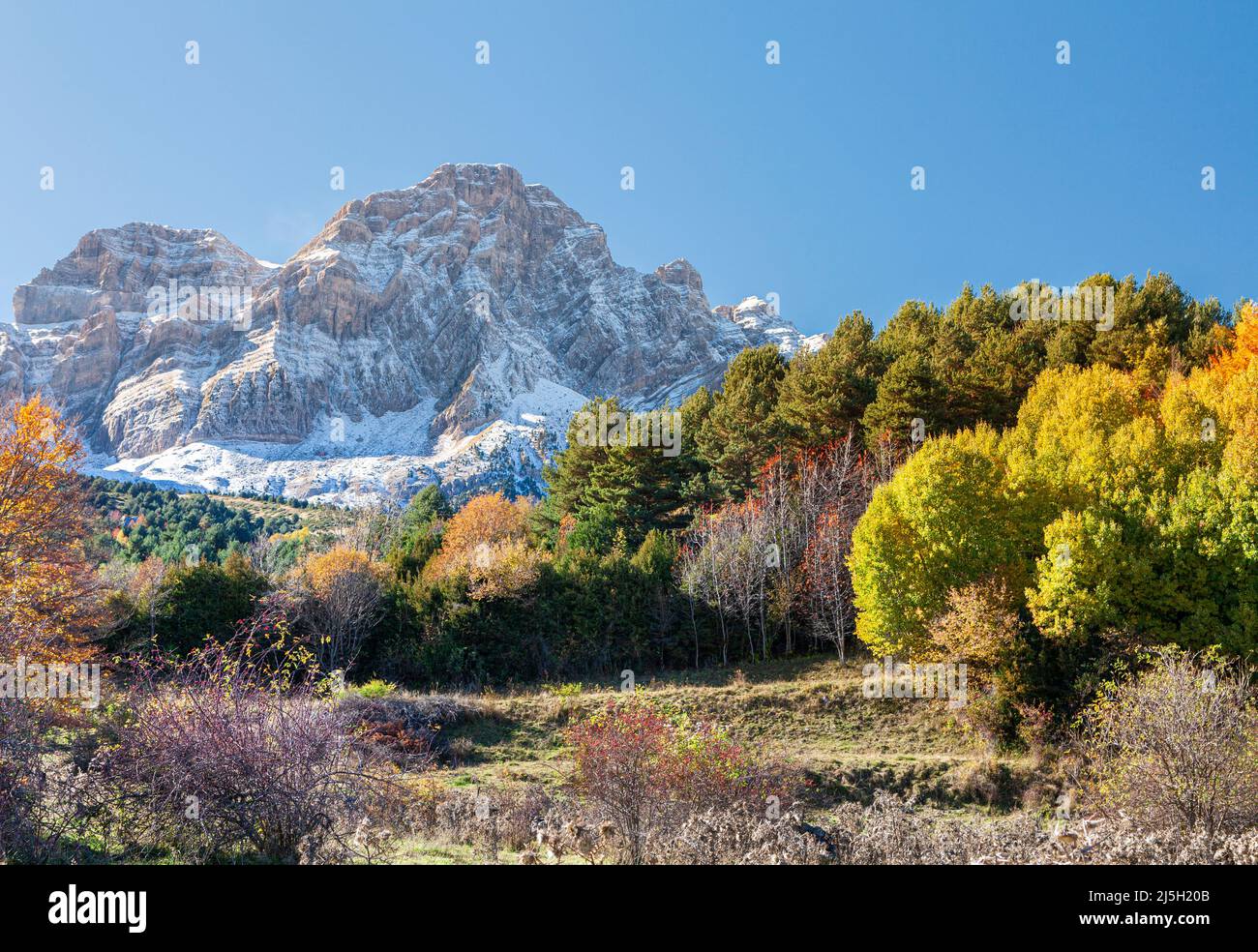 betato-forest-in-piedrafita-de-jaca-and-partacua-mountain-range-huesca