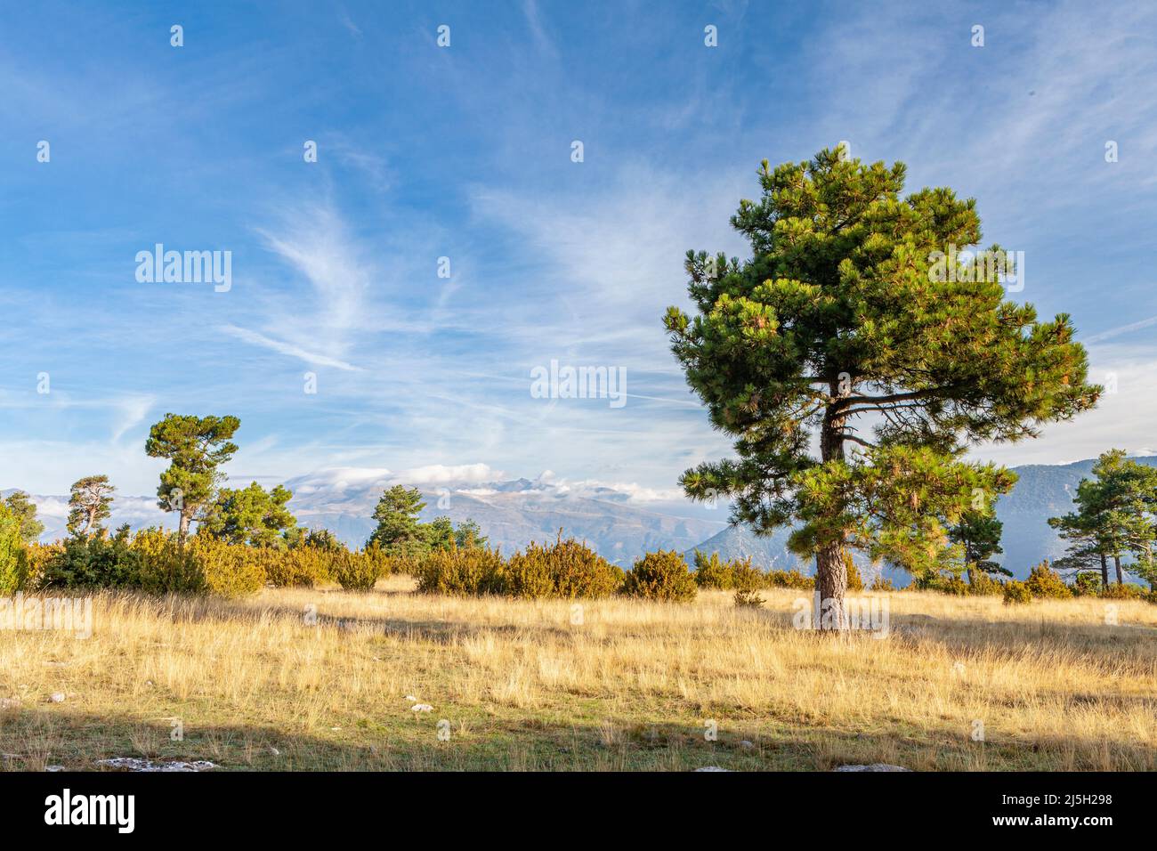 Natual Reserve of Boumort, Lleida, Spain Stock Photo