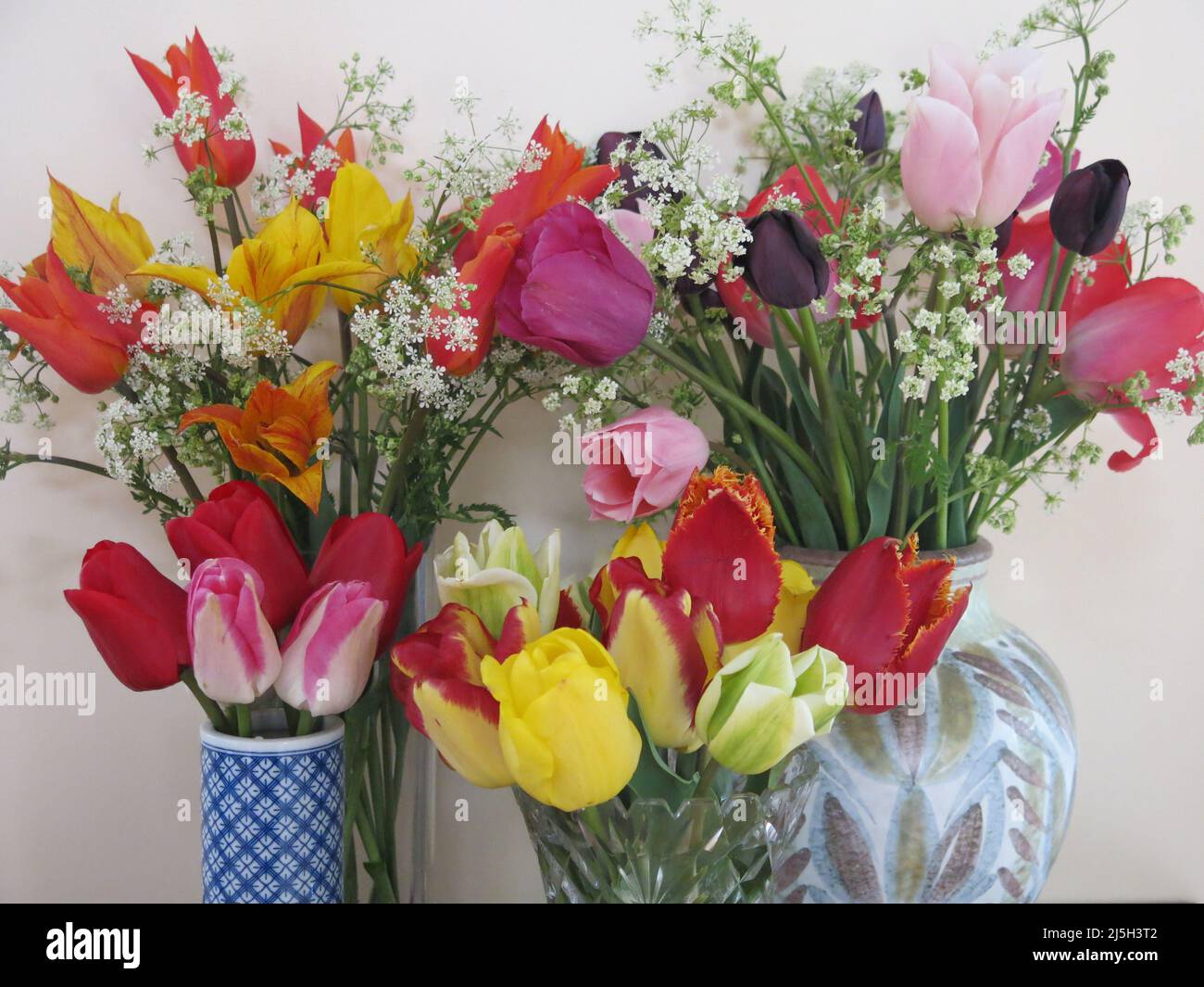 Four vases of tulips bring springtime cheer, with varied colours and