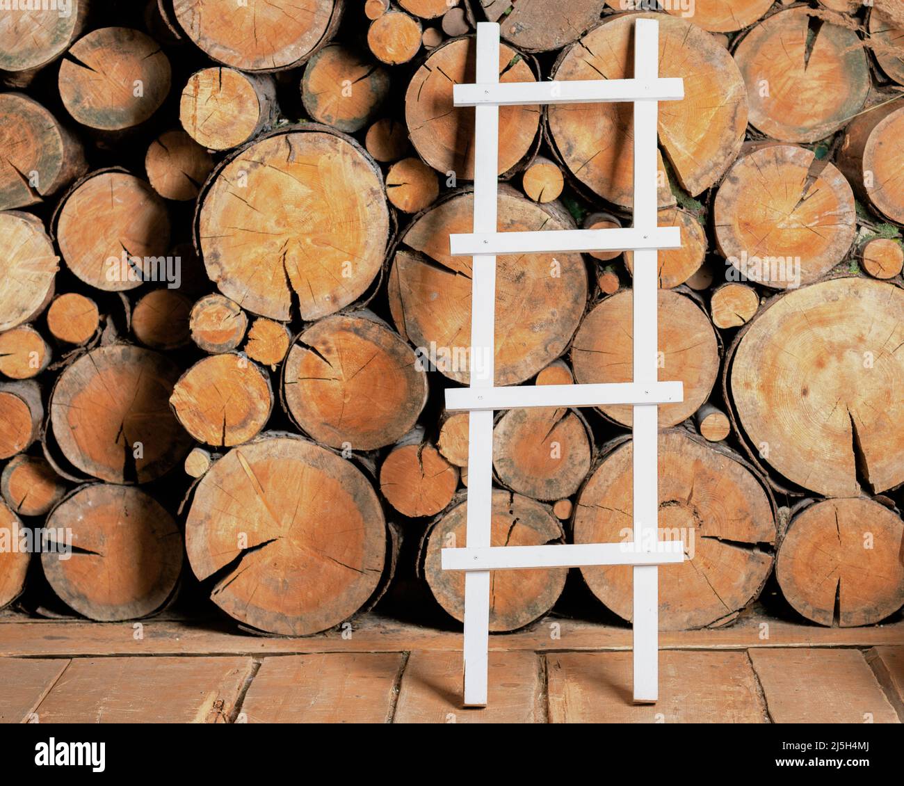A white ladder with rungs is leaning against a woodpile in the barn ...