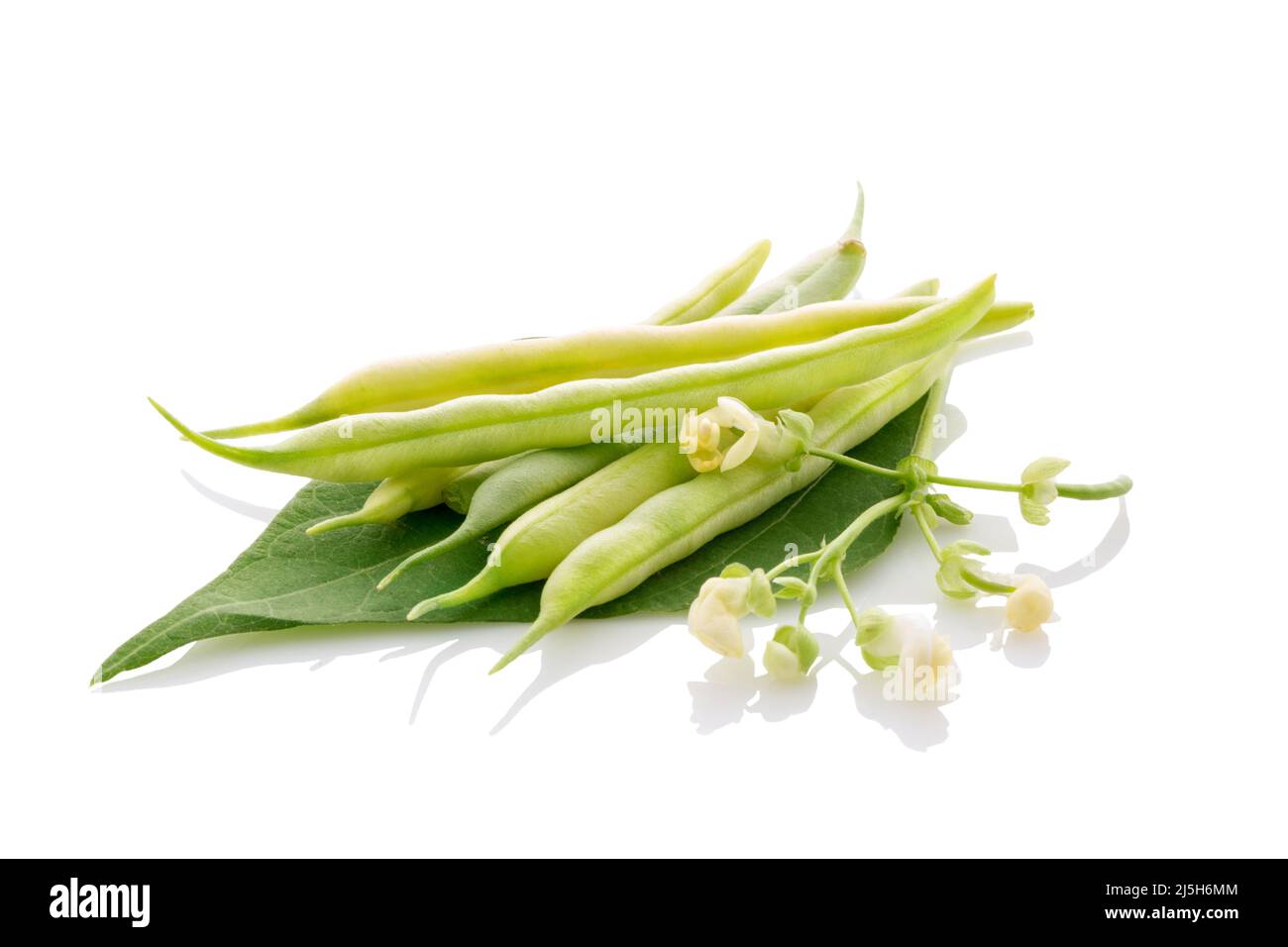 organic string bean with leaves and blossom isolated on white Stock